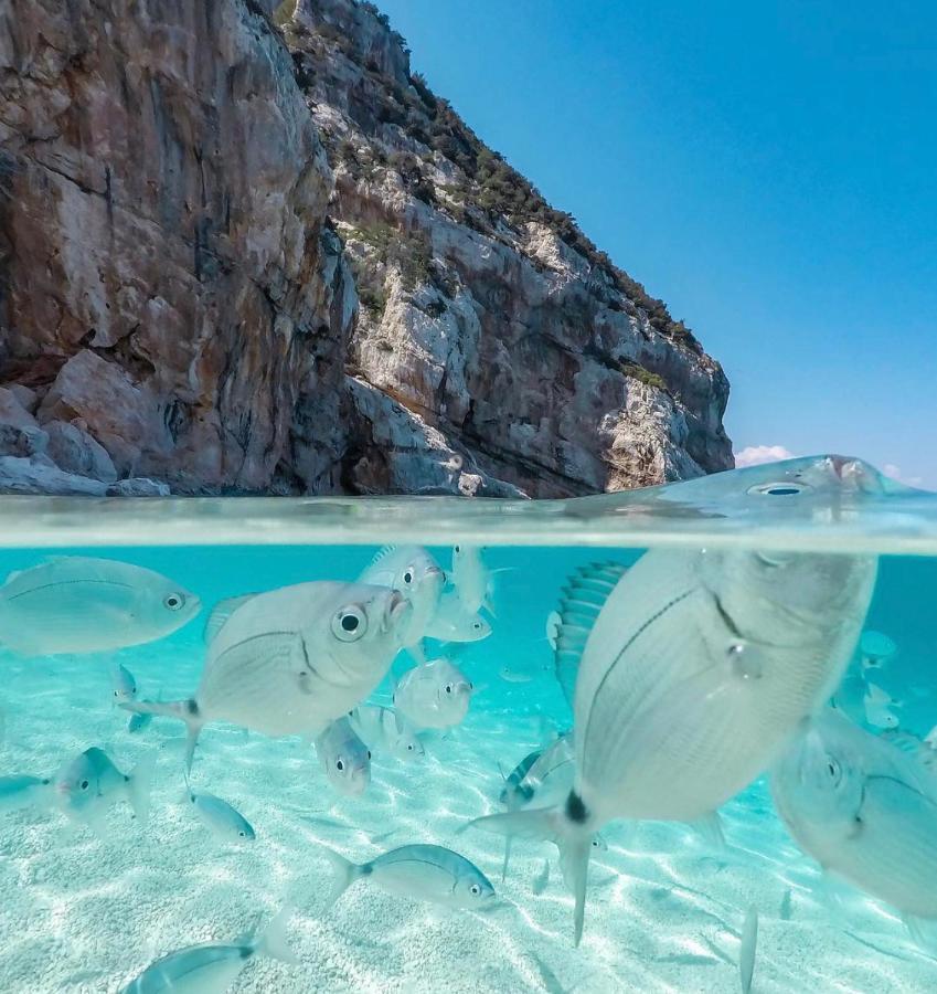 Cala Gonone, Casa I Pini Leilighet Eksteriør bilde
