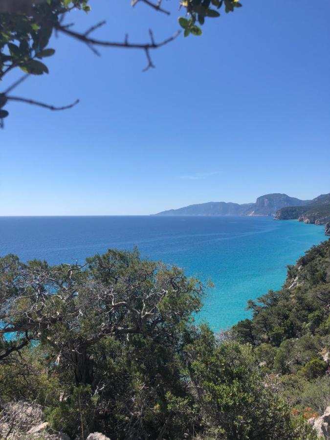 Cala Gonone, Casa I Pini Leilighet Eksteriør bilde