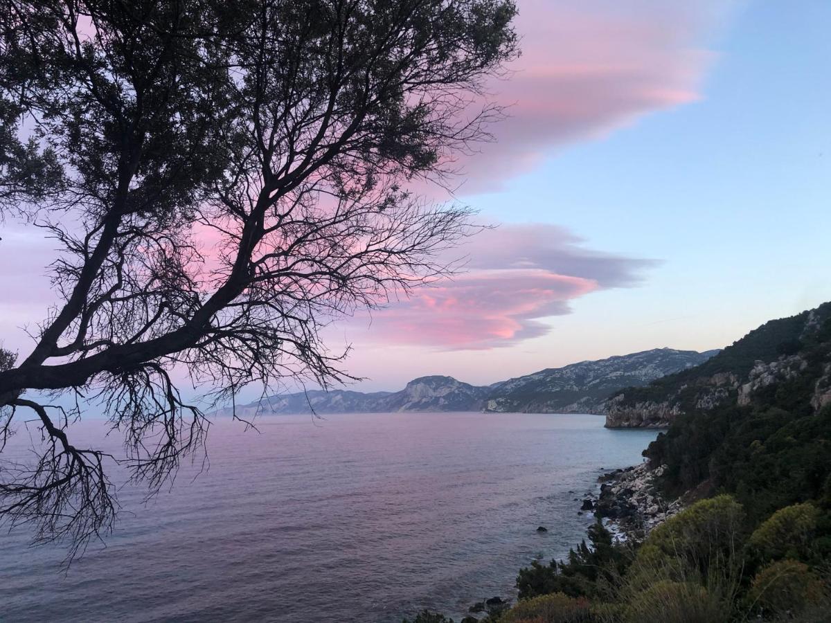 Cala Gonone, Casa I Pini Leilighet Eksteriør bilde