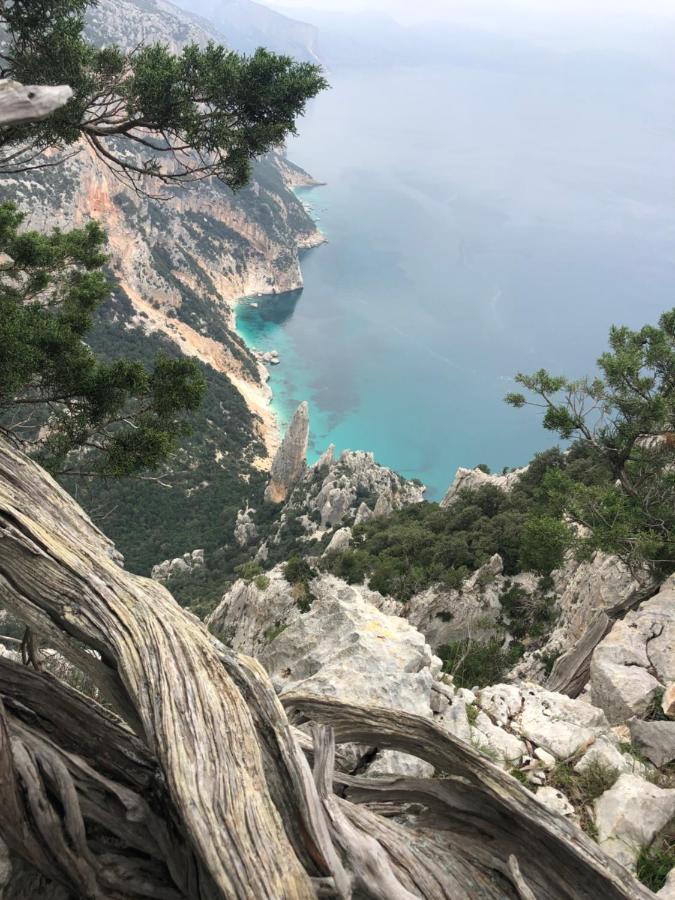 Cala Gonone, Casa I Pini Leilighet Eksteriør bilde
